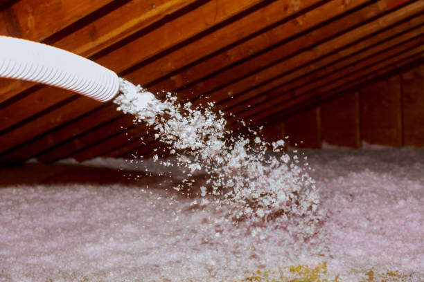 Best Insulation Air Sealing  in Ko Olina, HI